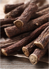 Licorice Root Extract